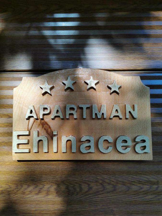 شقة Ehinacea رتانج المظهر الخارجي الصورة